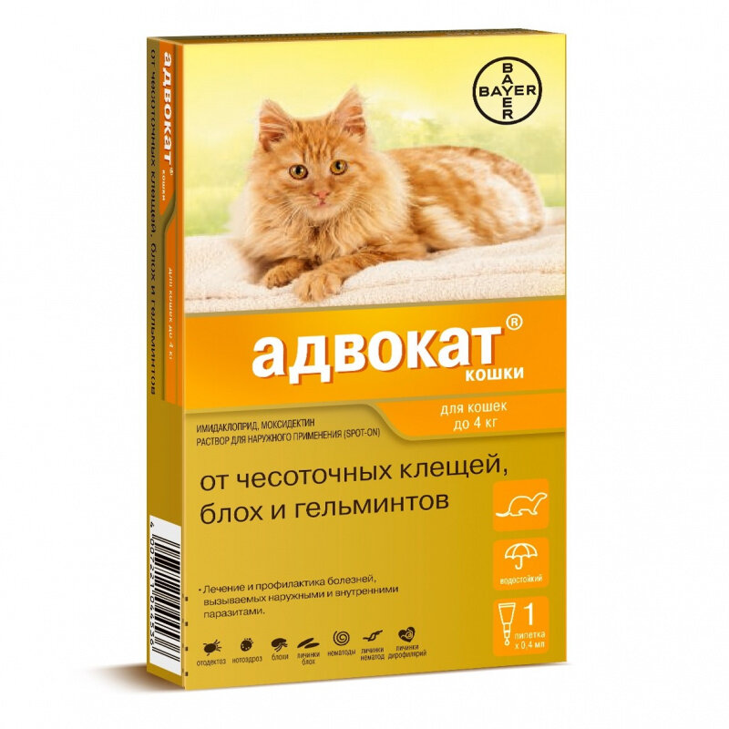 Сколько стоят капли Адвокат для кошек?