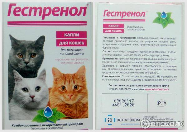 Кот метит территорию в доме или квартире? мы знаем, как отучить его и устранить неприятный запах - kupipet.ru