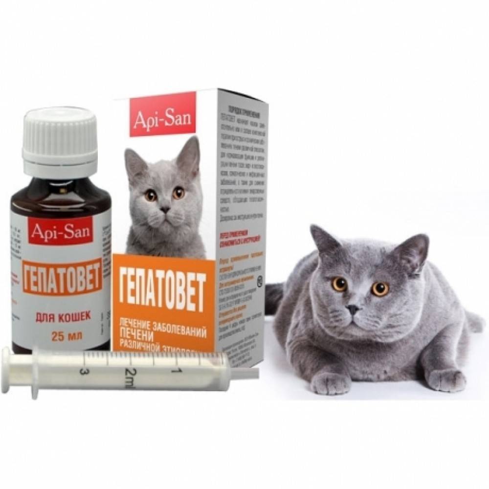 Инструкция по применению препарата Гепатовет для кошек