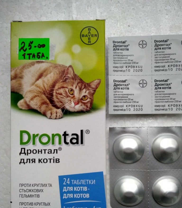 Дронтал для кошек: инструкция по применению, дозы и побочные действия