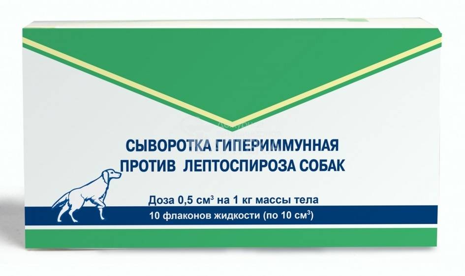 Сыворотка против. Сыворотка против лептоспироза собак. Гипериммунная сыворотка против лептоспироза. Гипериммунная сыворотка против лептоспироза собак. Сыворотка от лептоспироза собак.