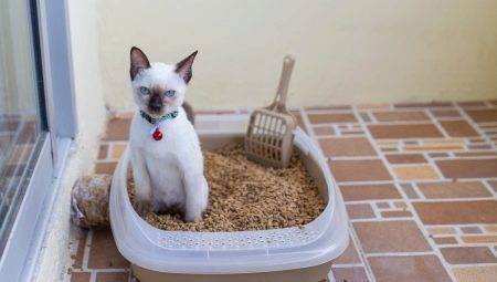 Лоток с решеткой для кошек (12 фото): как правильно пользоваться кошачьим туалетом? как наполнять большой лоток? как приучить к нему кота?