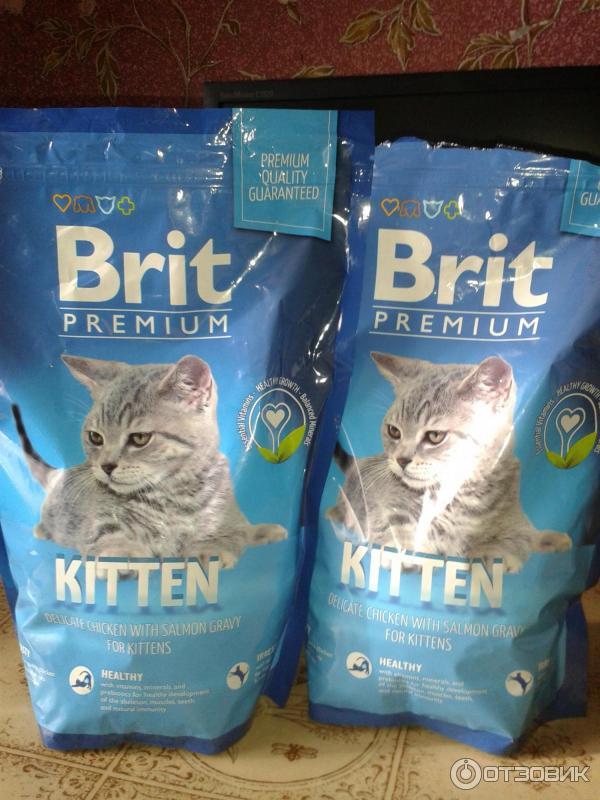 Брит для котят. Брит премиум сухой корм Kitten. Сухой корм для котят Brit Premium стерилизованных. Брит премиум для котят. Корма для кошек премиум класса.