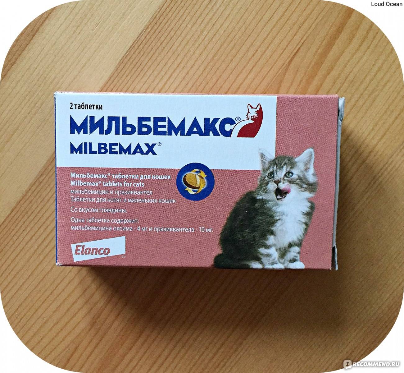 Инструкция по применению мильбемакса у кошек. рассчитайте оптимальную дозу препарата milbemax кошкам. изучите широту противопаразитарного эффекта мильбемакса для комплексного лечения множества патологий у кошек. улучшите эффективность терапии на 200%