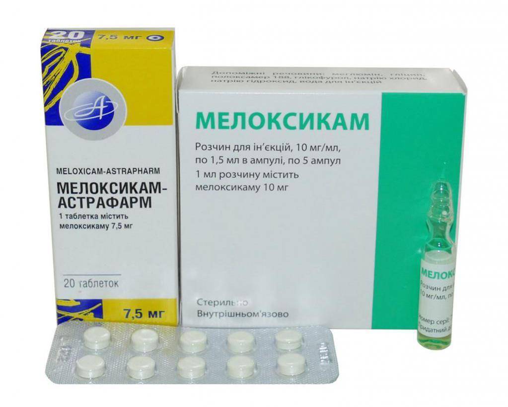 Мелоксикам для собак: инструкция по применению с дозировкой и отзывами. можно ли давать таблетки и как сделать укол суспензии?