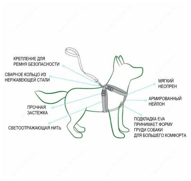 Шлейка для собак своими руками: пошаговая инструкция с фото