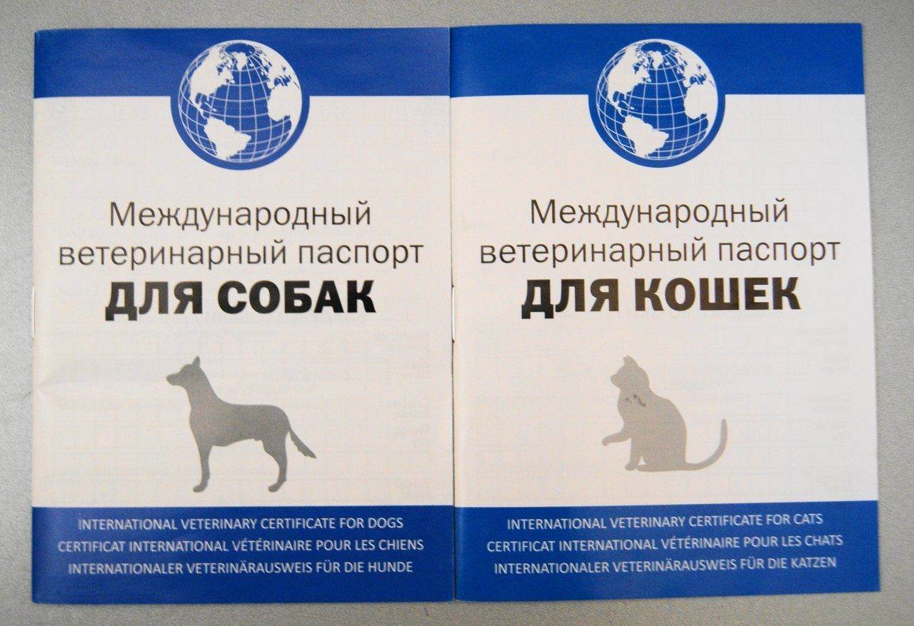 Как заполнить ветеринарный паспорт