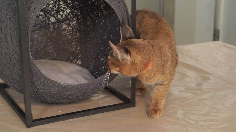 Домик для кошки своими руками - подробная пошаговая инструкция с фото идеми