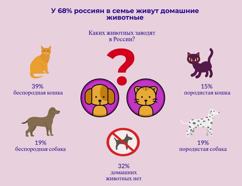 Кошка в квартире или частном доме: где лучше жить домашним животным? — forlove