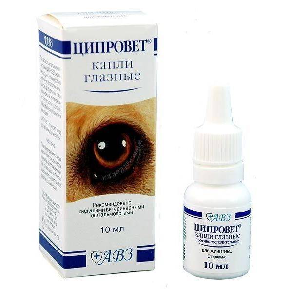 Инструкция по применению глазных капель и таблеток «ципровет» для лечения кошек, ципрофлоксацин в ветеринарии