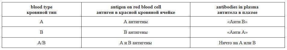 Группы крови у кошек