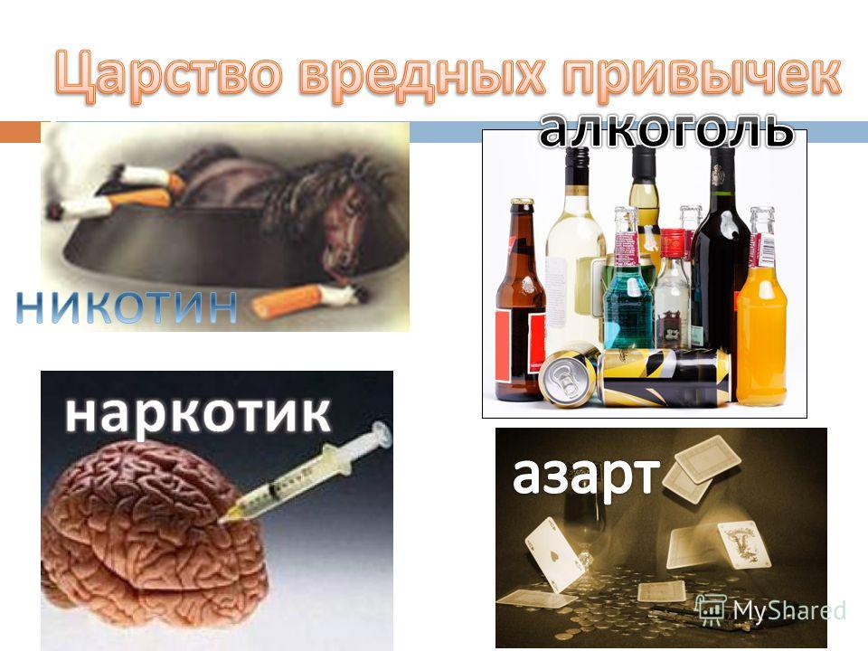 Вредные привычки, опасные для кота