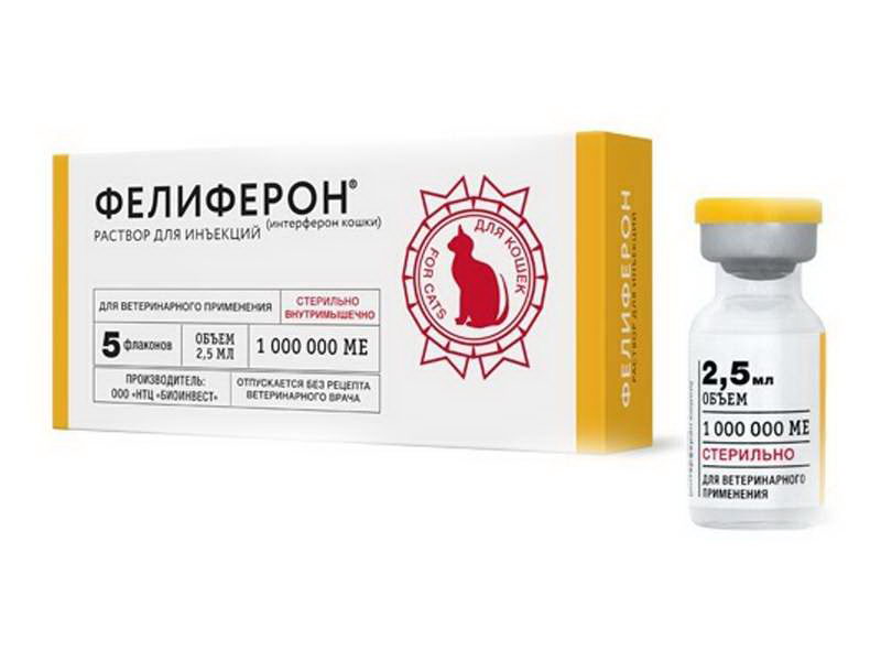 Фелиферон для кошек — инструкция по применению | звери дома