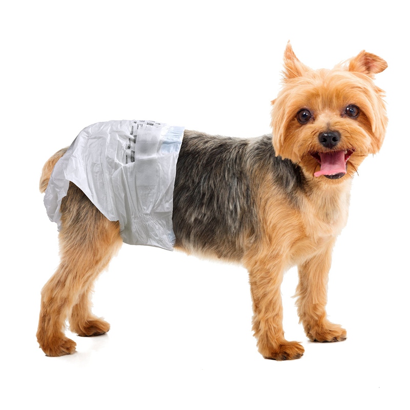 Подгузники для собак: виды, назначение и как использовать?
