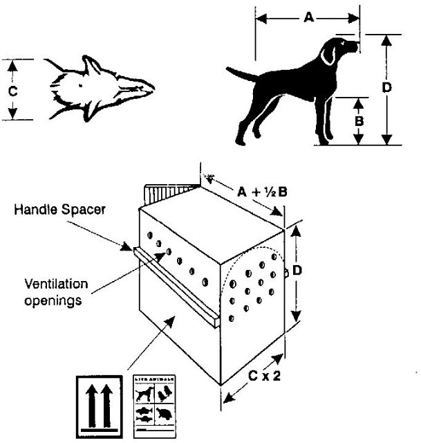 Требования к переноскам для собаки для перевозки в самолете: виды контейнеров