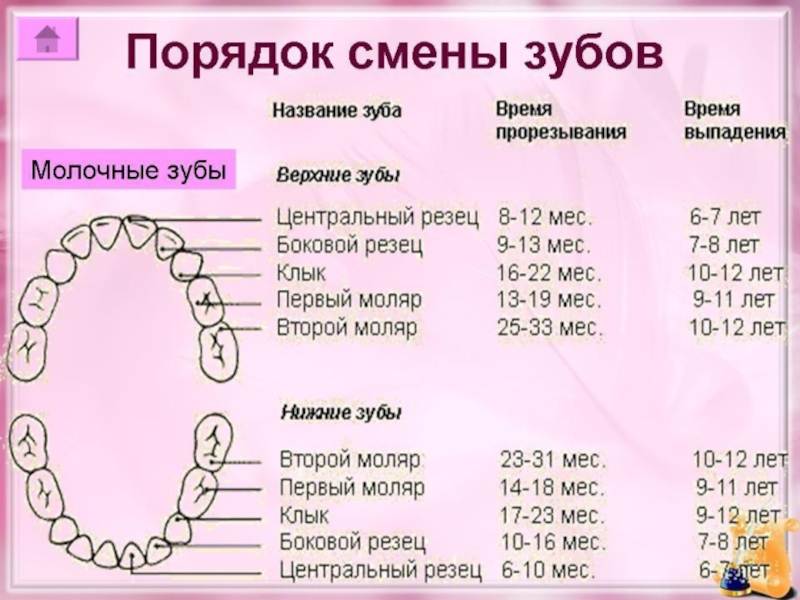 Розовый лишай (болезнь жибера). тревожные симптомы и эффективное лечение