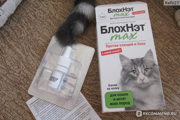 Бинакар – капли для кошек: инструкция по применению, особенности действия и отзывы