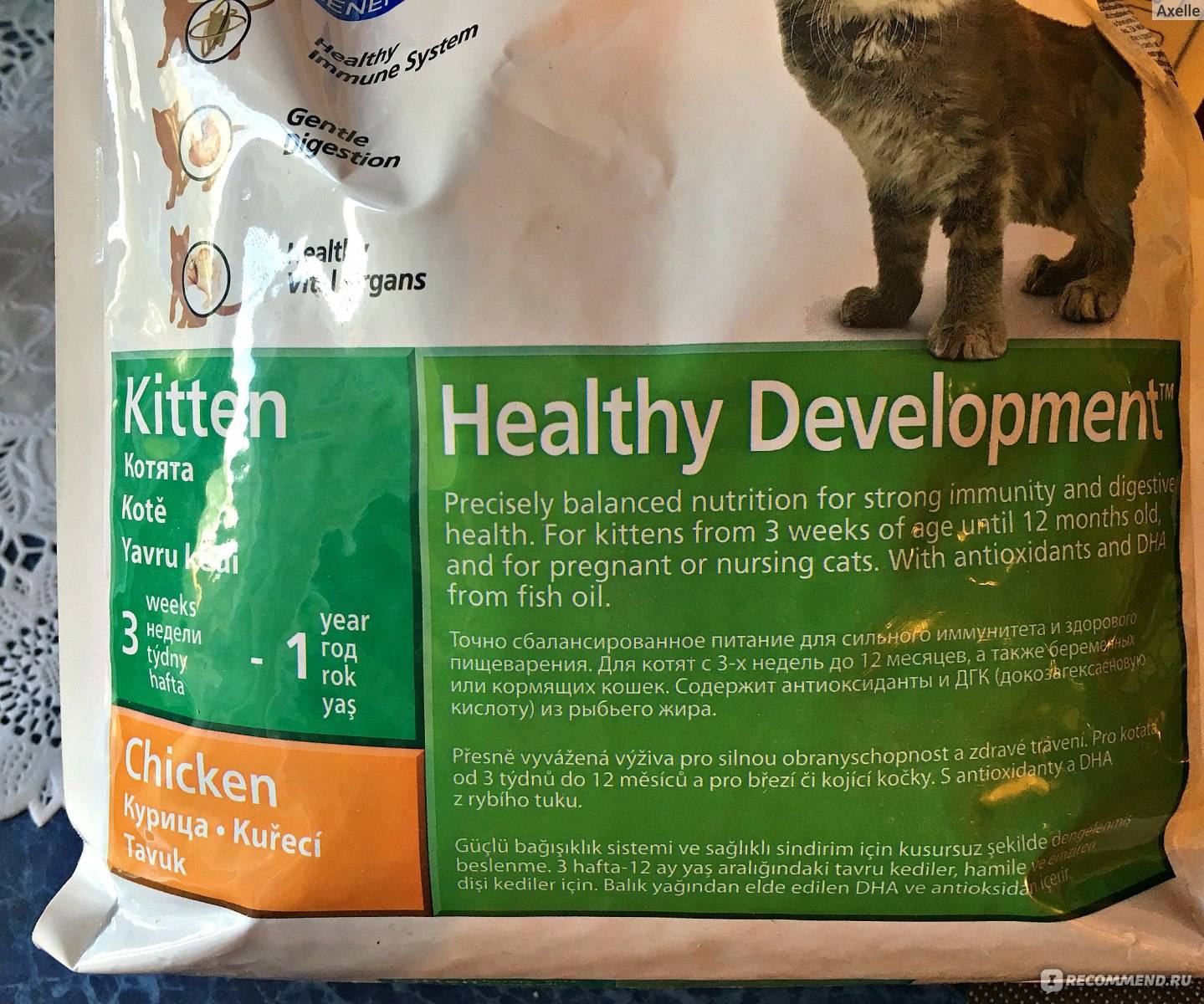 Now – корм для кошек и котят holistic-класса: состав разных продуктов бренда
