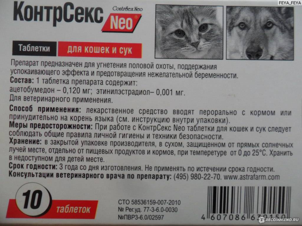 Инструкция по применению препарата рабизин для кошек и собак