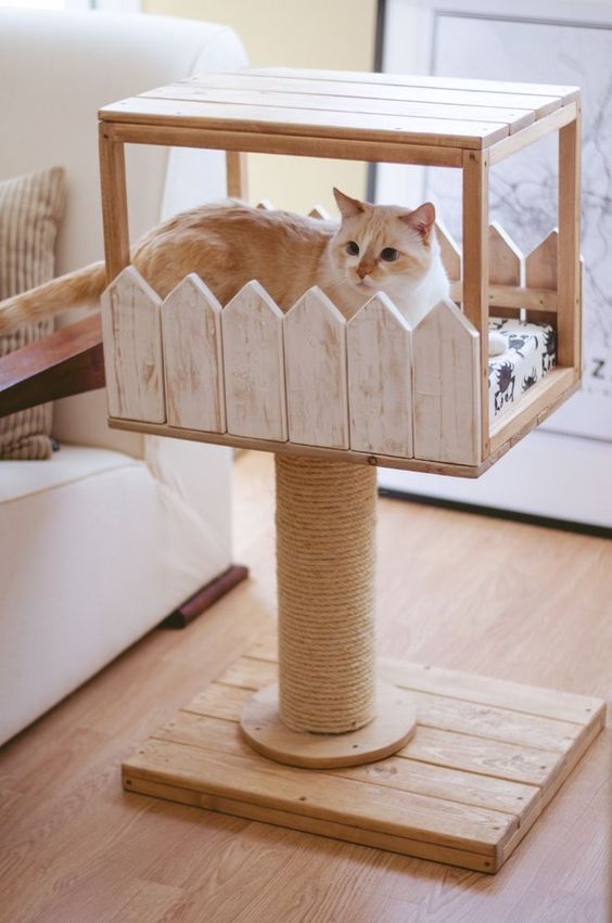 Как сделать домик для кошки своими руками, пошаговые инструкции идей самодельных домиков с фото