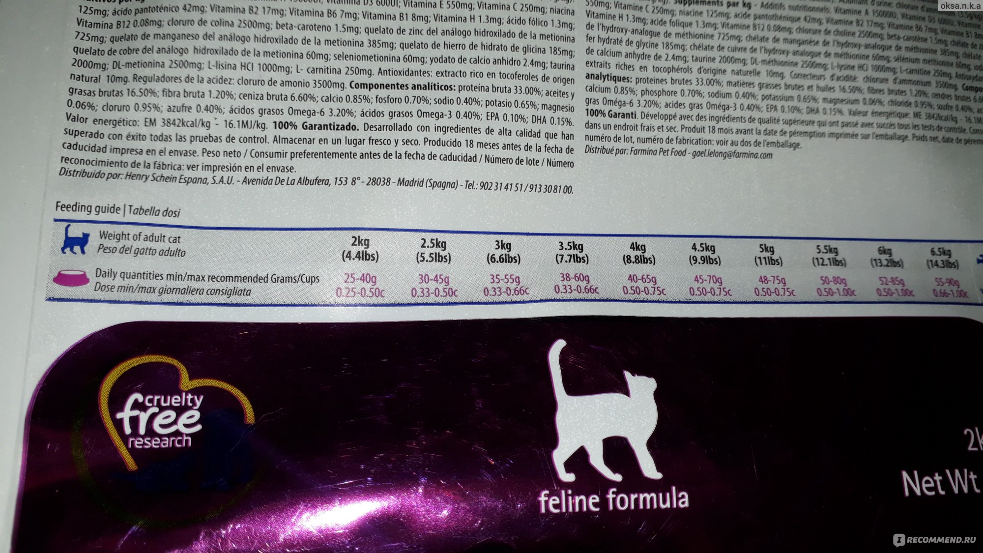 Cухой корм для кошек «farmina» («фармина») — обзор и описание линейки, состав, виды, плюсы и минусы
