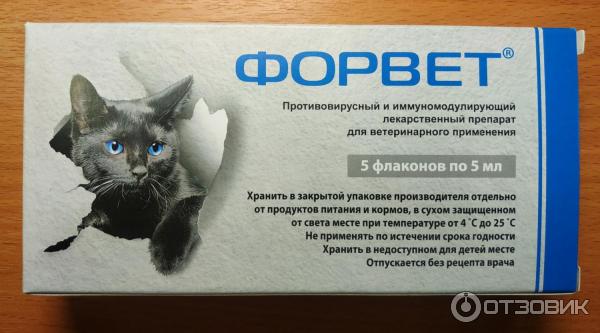 Форвет для кошек: инструкция по применению иммуномодулирующего препарата