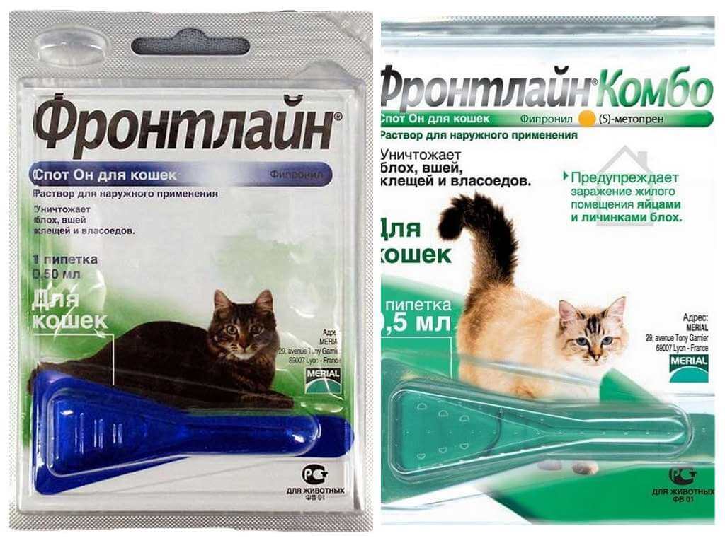 Таблетки от клещей для котов