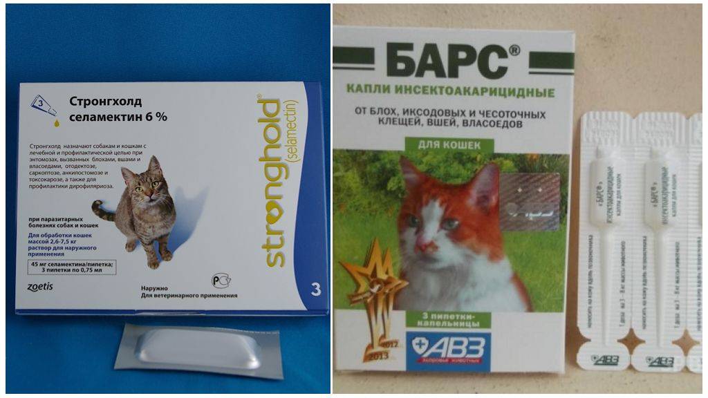 Способы самостоятельного лечения ушных клещей у кошки дома без ветеринара