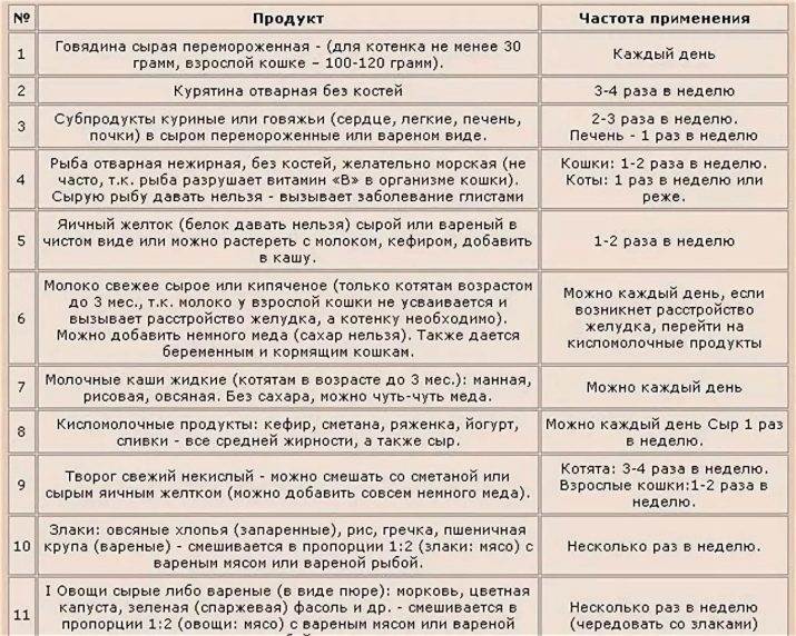 Чем кормить стерилизованную кошку - правильный рацион питания