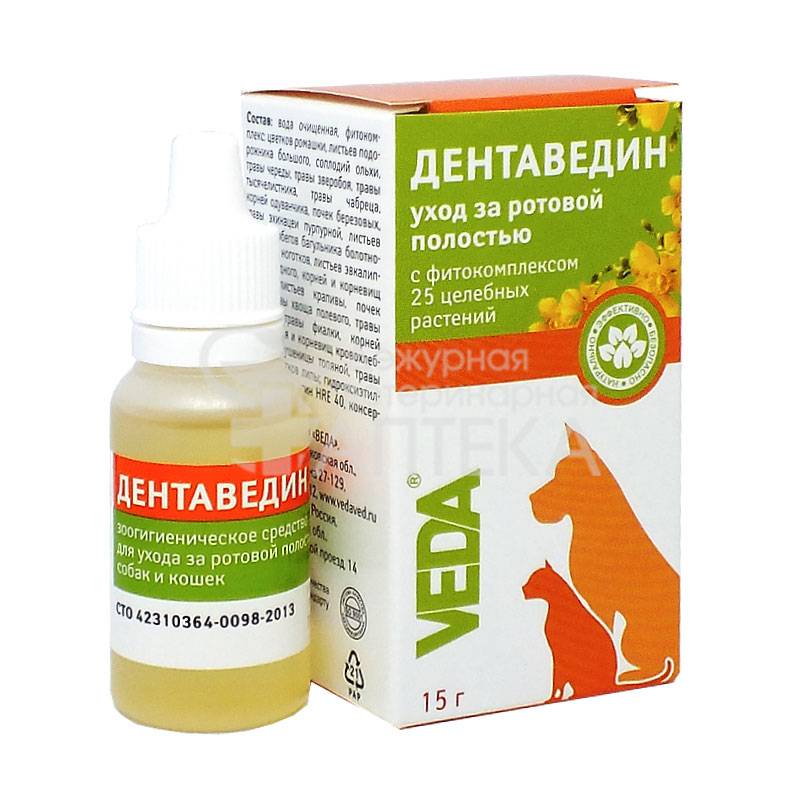 Применение Стомадин геля для кошек