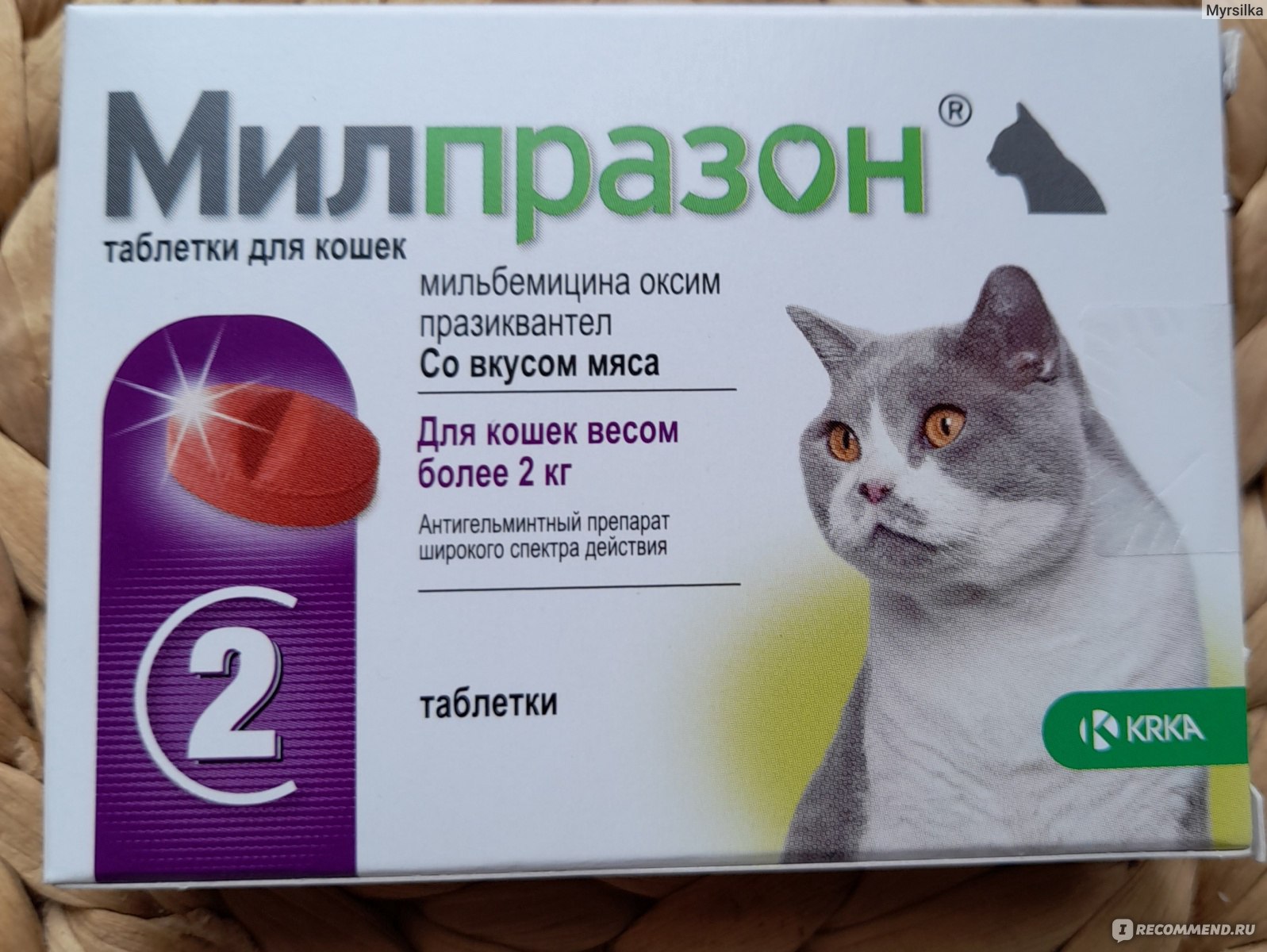 Лучшие таблетки от глистов для кошек: рейтинг препаратов и их инструкции