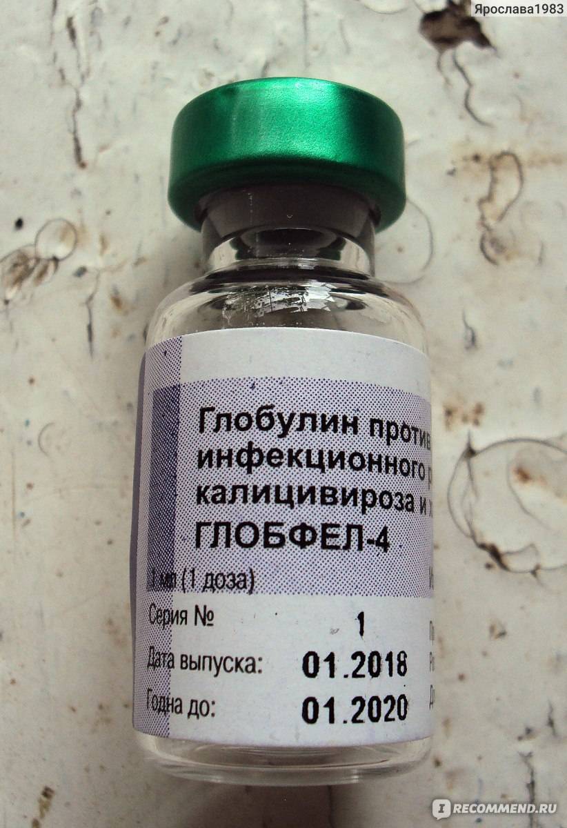 Внутримышечная инъекция: алгоритм введения, какие осложнения – эл клиника
