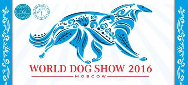 10 важных моментов – world expo dubai
