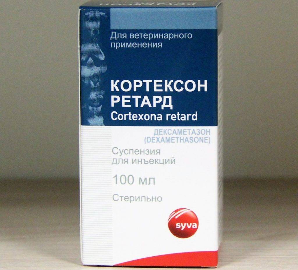 Розовый лишай