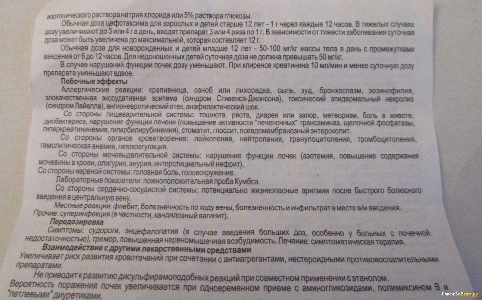 Цефтриаксон для кошек – инструкция по применению, как разводить, дозировка