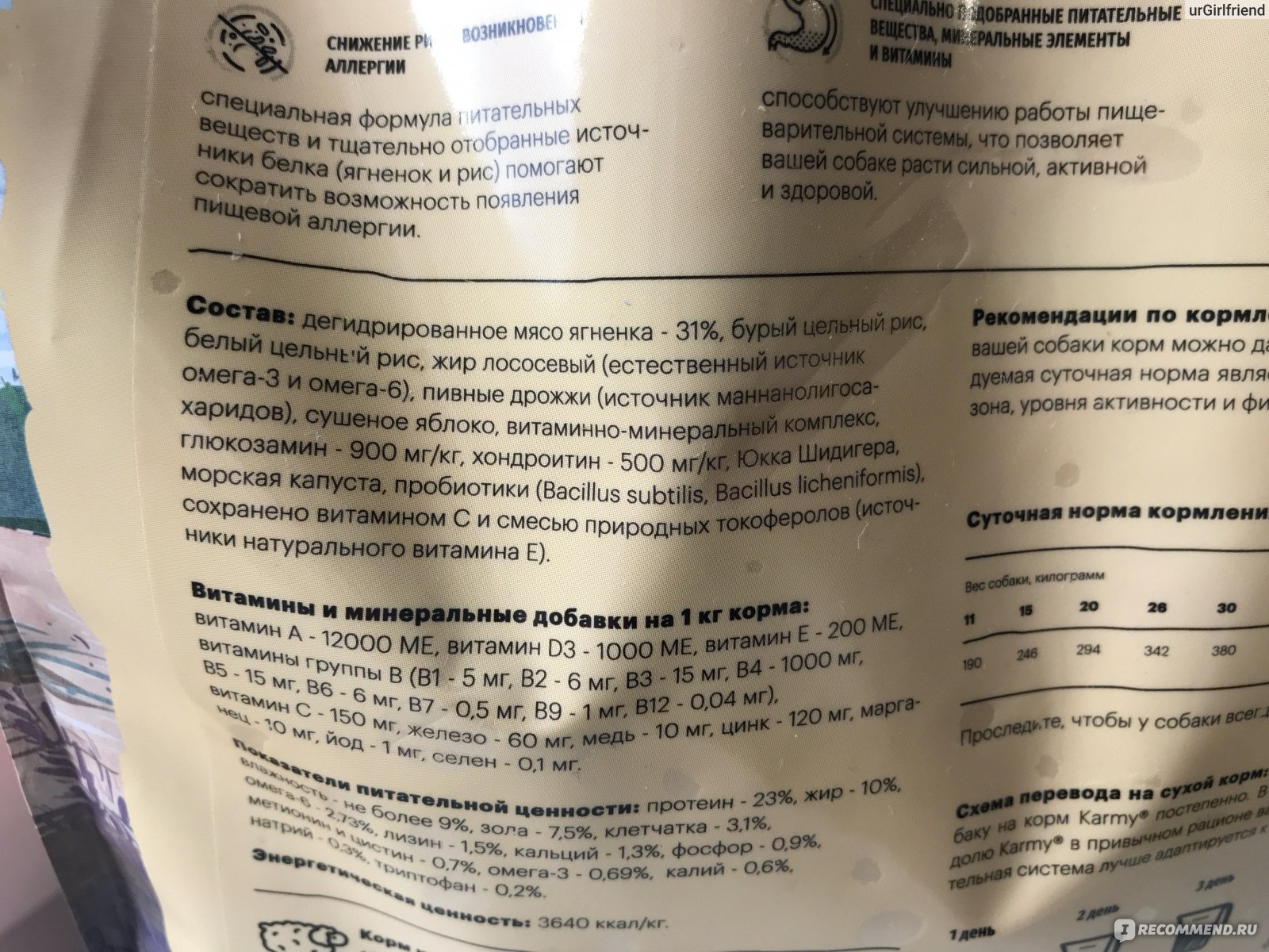 Классы кормов для собак: список, описание, состав, плюсы и минусы | petguru