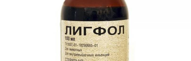 Лигфол для кошек: способ применения. побочные действия лигфола для кошек - наши лапки