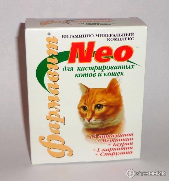Витамины для старых кошек: как выбрать по составу, форме выпуска