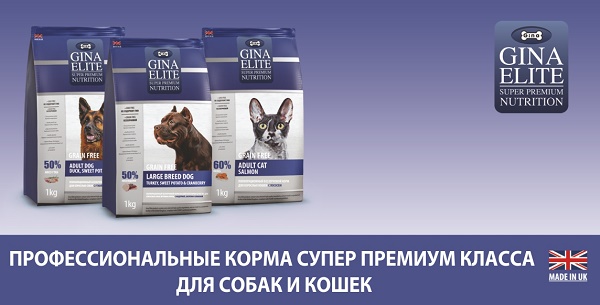 Корм для собак gina (джина): отзыв и обзор состава