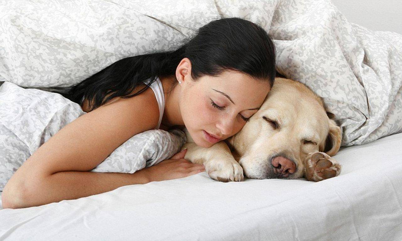 Можно ли спать с собакой в ​​постели?
