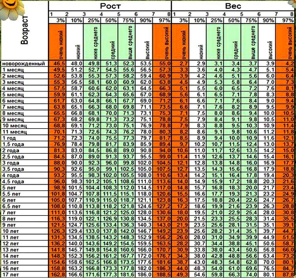 Нормы веса британских котят (таблица с разбивкой по месяцам)