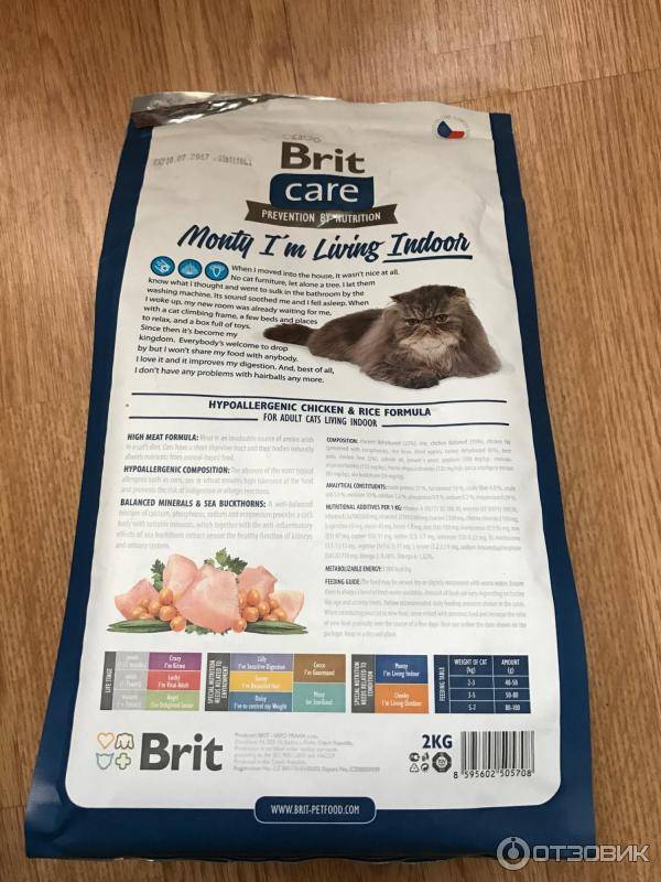 Корм brit care для кошек, котят: состав, плюсы и минусы