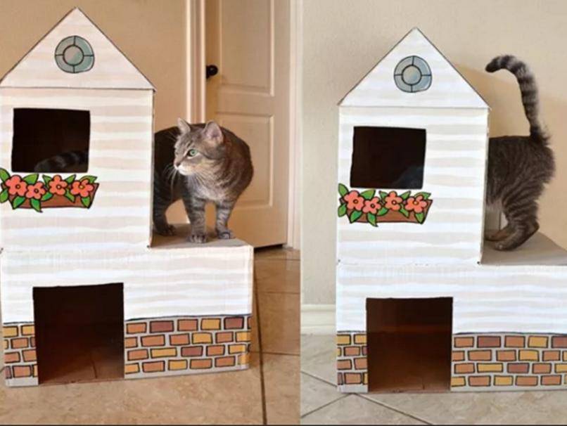Как сделать своими руками домик для кота и кошки: виды кошачьих домов (из коробки, другое), чертежи, размеры, инструкции, фото пошагово