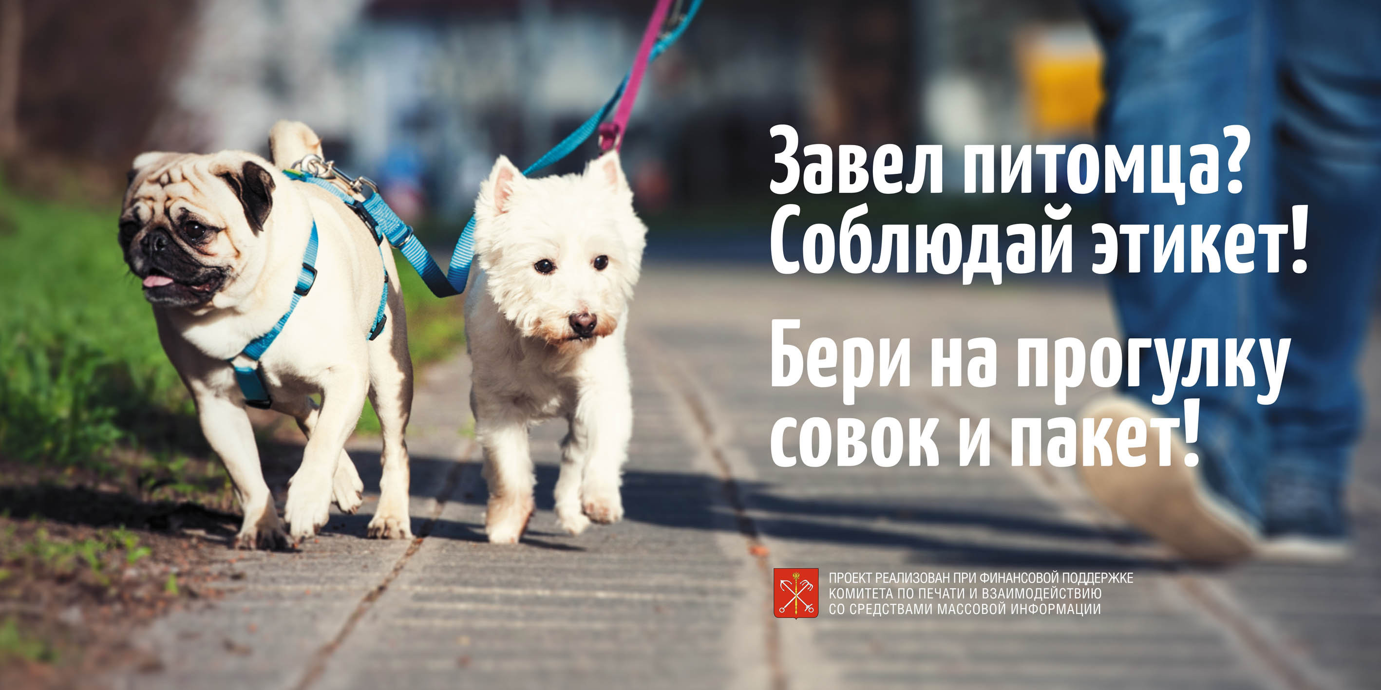 Передержка собак — бесплатно на время отпуска