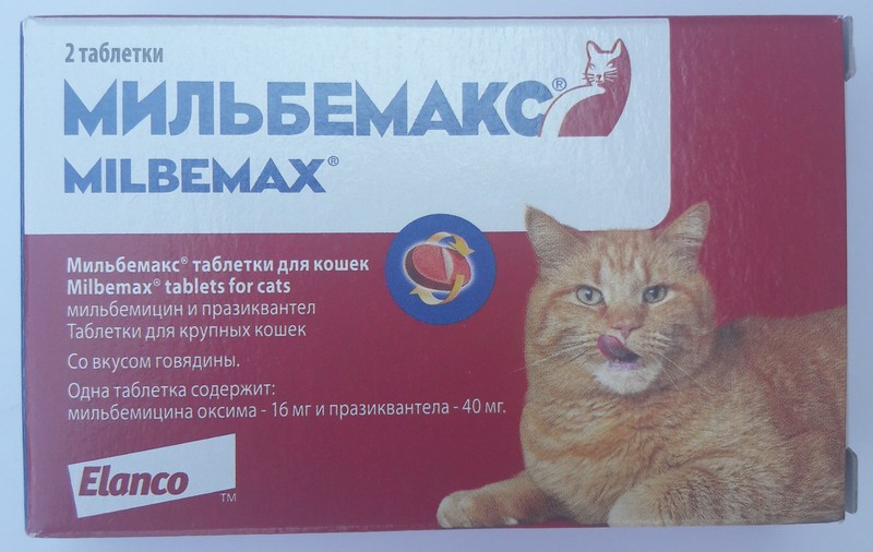 Таблетки против кошек. Таблетки от глистов для кошек Мильбемакс. Мильбемакс антигельминтик для кошек 2 табл. (24 уп/240кор) 16/40 мг. Таблетки от блох и глистов для кошек 2в1. Таблетки от глистов для Коше.