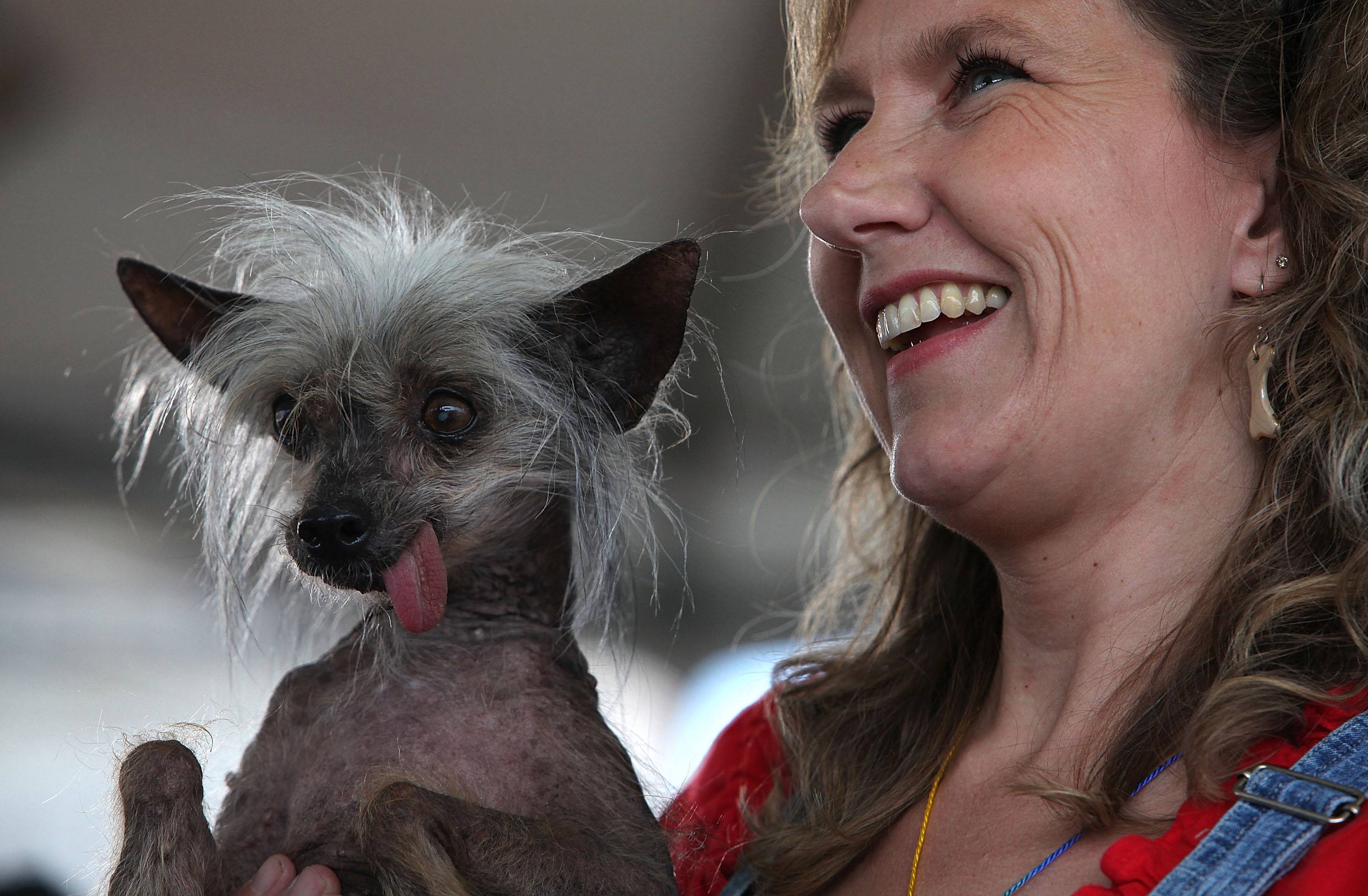 Рейтинг 10 самых страшных пород в мире по внешнему виду: самые уродливые собаки