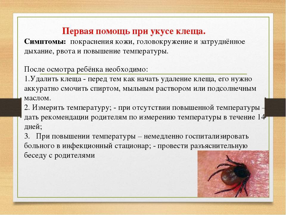 Болезнь кошачьей царапины (фелиноз): рекомендации, симптомы и лечение