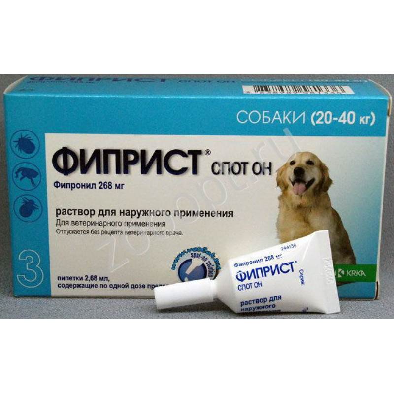 Фиприст — эффективный препарат от блох, клещей и власоедов у собак