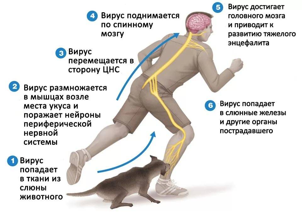 Синдром беспокойных ног ️: симптомы, признаки и причины, диагностика и лечение