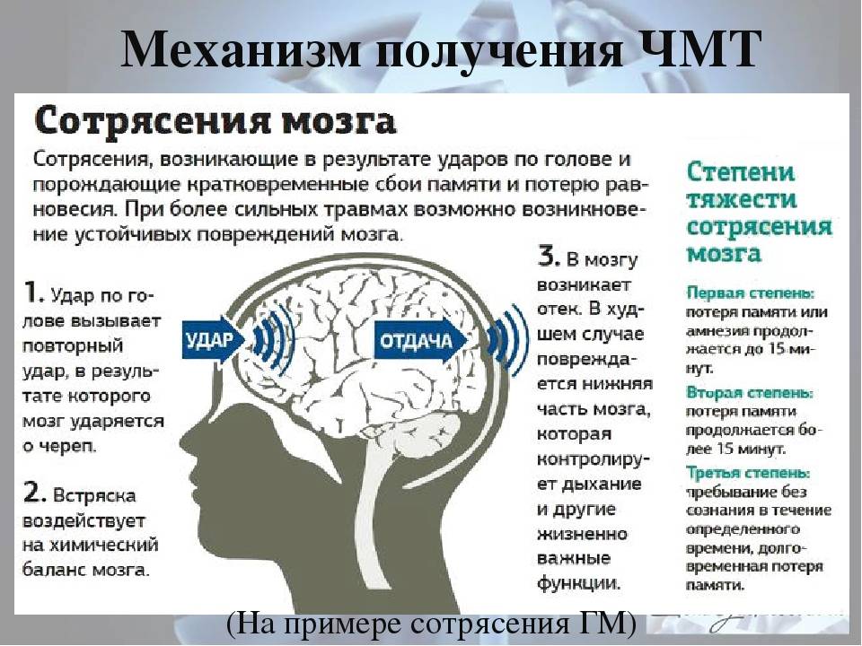 Сотрясение мозга у кошки